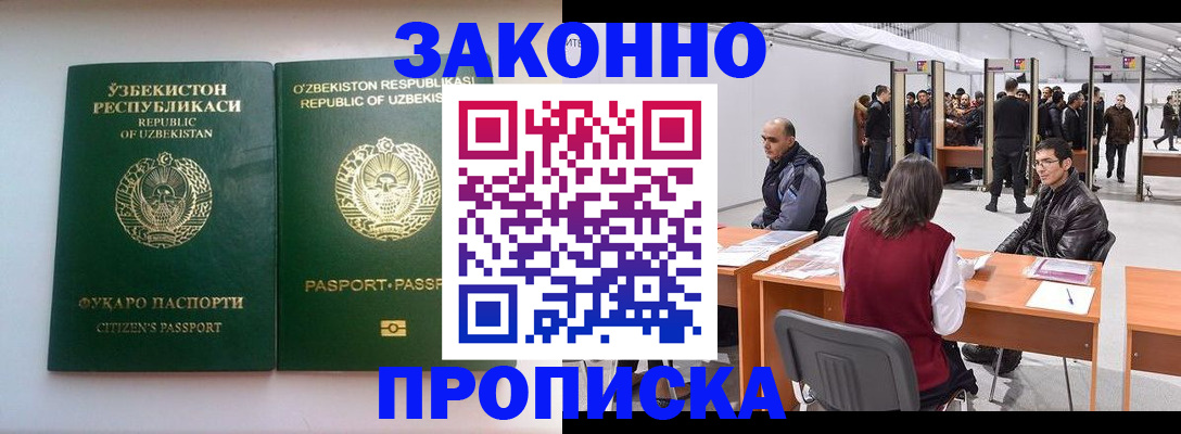 временная регистрация поиск в Курчалом